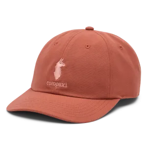 Cotopaxi Dad Hat