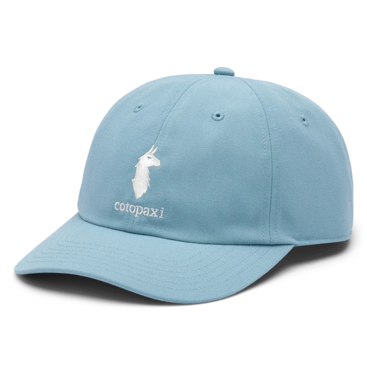 Cotopaxi Dad Hat