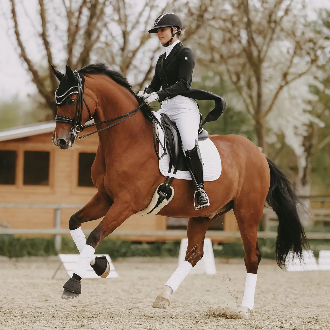 Kentucky Horsewear Dressage Saddle Cloth Pearls - White